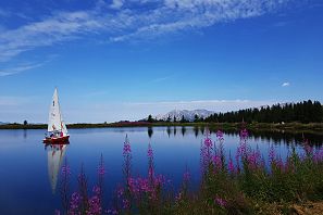 Rotes Segelboot mit mehreren Personen auf einem ruhigen Bergsee, im Vordergrund blühende rosa Blumen, im Hintergrund Tannenwald und Gebirgskette unter blauem Himmel