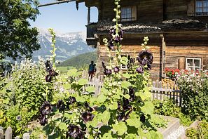 Bauernhaus mit schönem Garten.