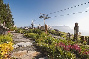 Blooming alpine flower path bordered with stones, next to a mountain railway track with wooden fences, carved figures and a view of the surrounding mountains in the morning light.