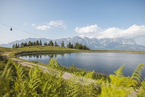 Small mountain lake with surrounding hiking trail, surrounded by ferns and trees, in the background a cable car and the imposing massif of the Wilder Kaiser under a slightly cloudy sky.