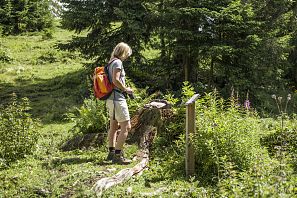 Frau mit organgefarbenem Rucksack am Geologiepfad im Wald