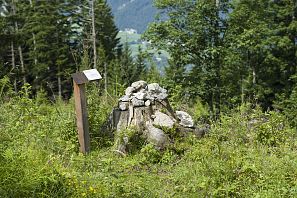 Beschilderung am Geologiepfad im Wald, leicht verwachsen