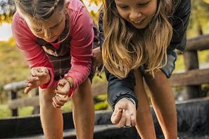 Kinder versuchen Regenwürmer in der Erde zu finden.