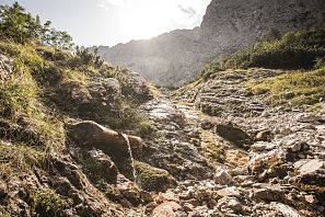 Rocky landscape with a small spring bubbling out of the rock, surrounded by alpine vegetation and with a view of steep mountain slopes backlit by the low sun.