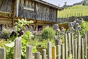 Kräuter- und Blumengarten bei der Simonalm.