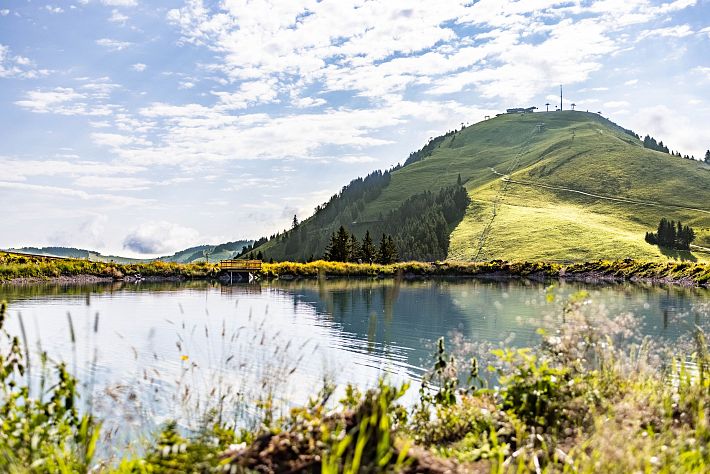 Blick über den Speicher See Kleine Salve auf den Aussichtsberg Hohe Salve im Sommer