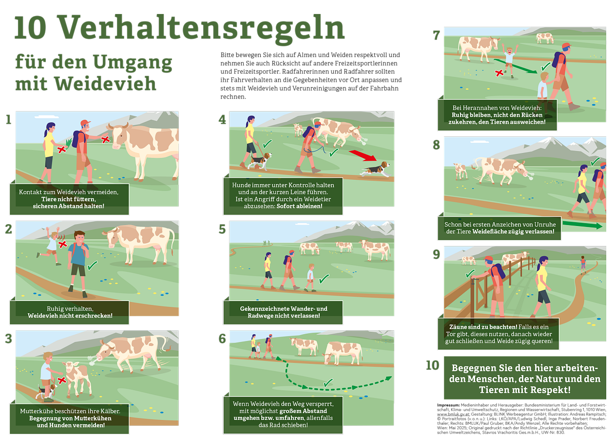 Illustration der 10 Verhaltensregeln für Wanderer im Umgang mit Weidevieh in den Alpen, inklusive Tipps zu Abstand, Hunden, Zäunen und Respekt gegenüber Tieren.