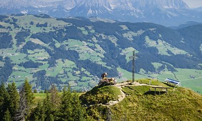Ausblick auf den Wilden Kaiser.