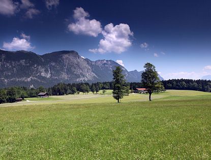 Wiese mit Bergkulisse.