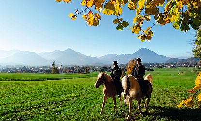 Ausritt mit zwei Pferden vom Fohlenhof in Ebbs