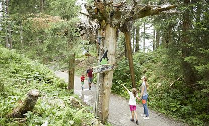 Familie wandert durch den verzauberten Wald.