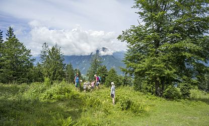3 Frauen sind mit zwei Kindern am Geologiepfad unterwegs, erkunden gemeinsam die Schilder bei einer grüne Berglandschaft mit Blick auf bewaldete Hänge
