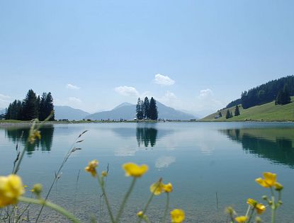 Sommerliche Berglandschaft mit dem klarem Speichersee Filzalm, umgeben von grünen Wiesen, vereinzelten Bäumen und bewaldeten Hügeln – Spiegelung im ruhigen Wasser sichtbar