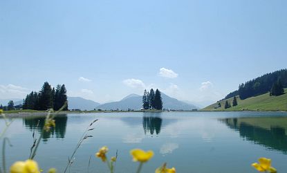 Sommerliche Berglandschaft mit dem klarem Speichersee Filzalm, umgeben von grünen Wiesen, vereinzelten Bäumen und bewaldeten Hügeln – Spiegelung im ruhigen Wasser sichtbar