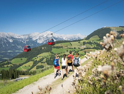 Wandern mit Freunden in der Natur.