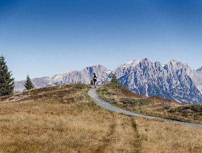 Wanderweg mit Sicht auf den Wilden Kaiser.