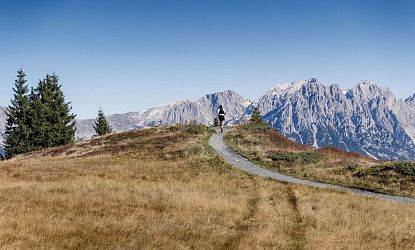 Wanderweg mit Sicht auf den Wilden Kaiser.