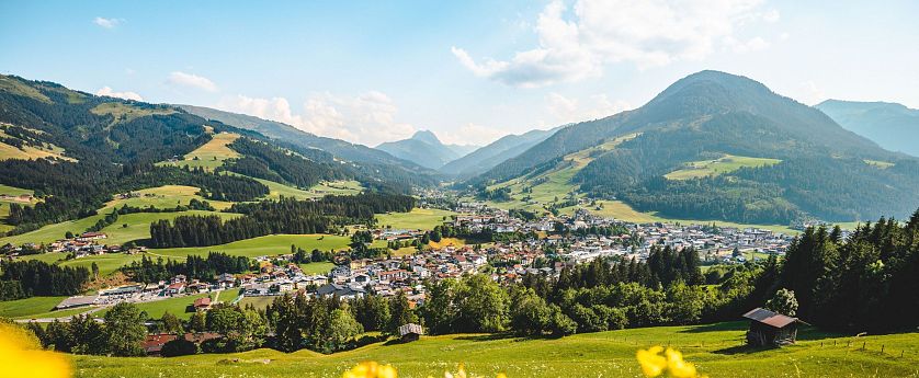 Gelbe Blumen im Vordergrund, dahinter ein grünes Tal mit Blick auf Kirchberg, umgeben von bewaldeten Hügeln und Bergen unter blauem Himmel
