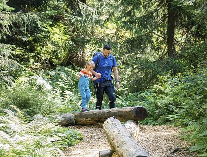 Vater balanciert mit seiner Tochter über Bäume im Wald.