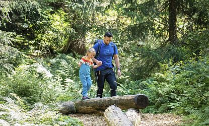 Vater balanciert mit seiner Tochter über Bäume im Wald.