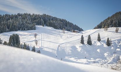 Winterliche Landschaft und Pisten.