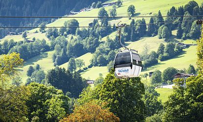 Gondel in einer grünen Landschaft.