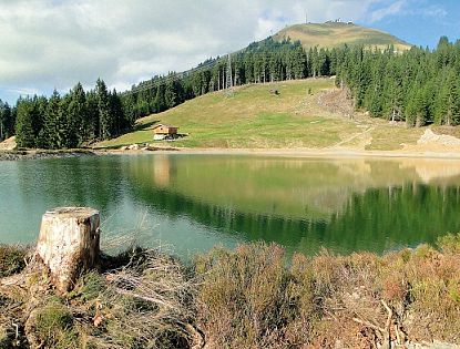 Speichersee auf der Hohen Salve mit zahlreichen Bäumen im Hintergrund.