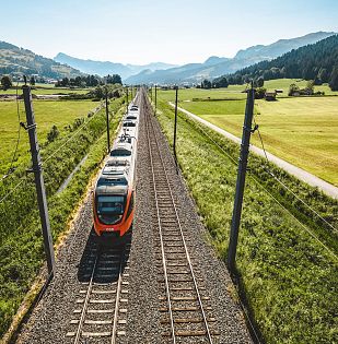 Zug fährt auf Schienen im Sommer.