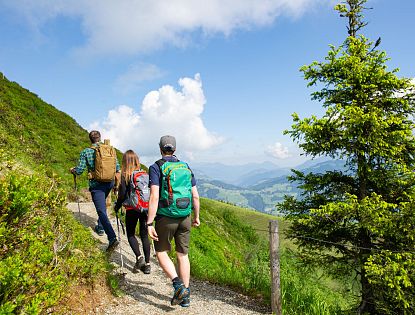 Eine Gruppe von drei Personen die im Sommer durch die grünen Wanderwege wandern.