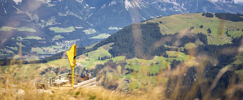 Blick auf den Wilden Kaiser und die beeindruckende Natur.